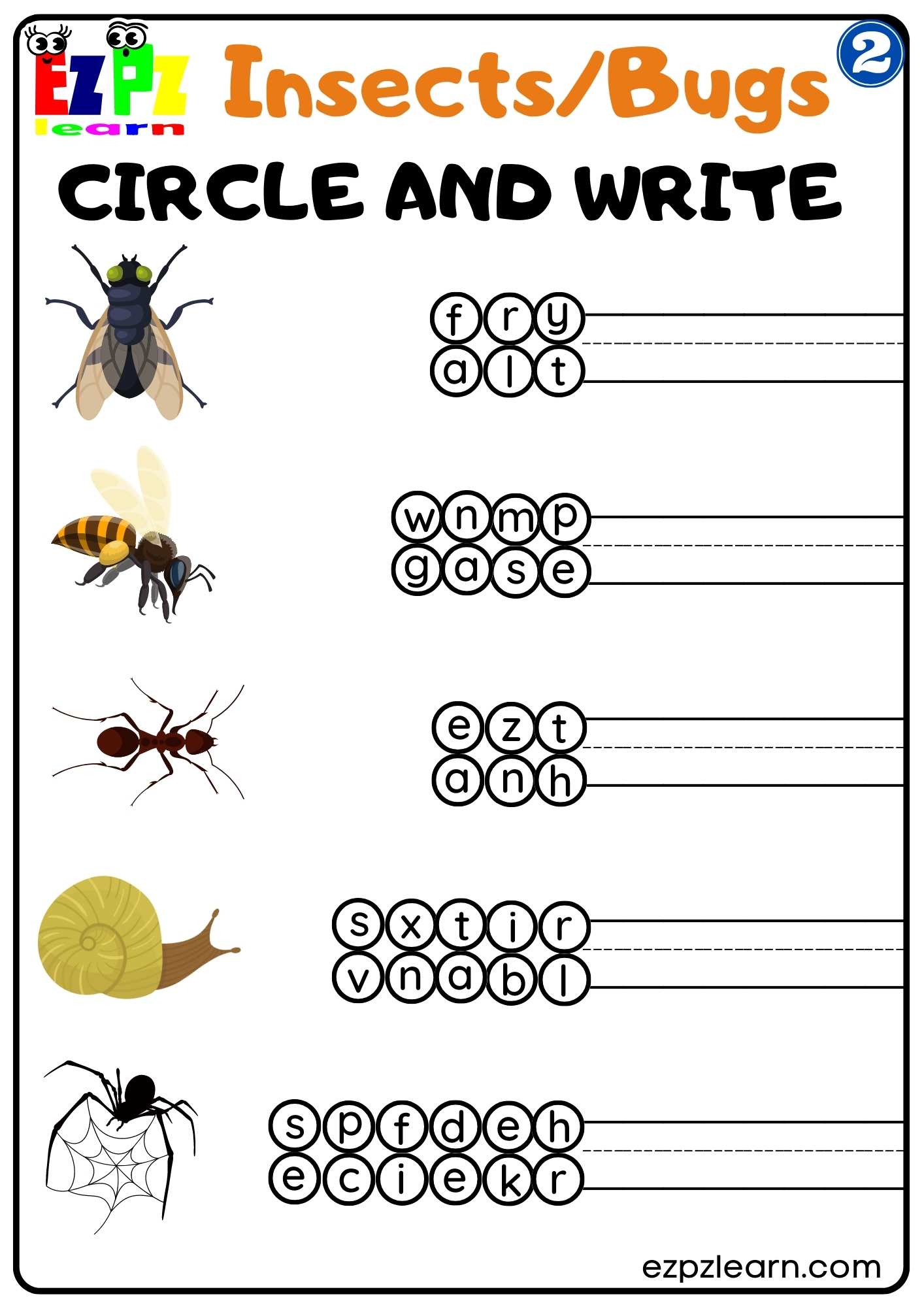 Group 2 Insects and Bugs Circle and Write Worksheet PDF Download For Homeschool and ESL Students